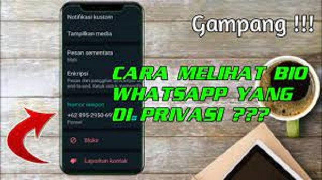 3 Cara Melihat Bio WA yang Disembunyikan