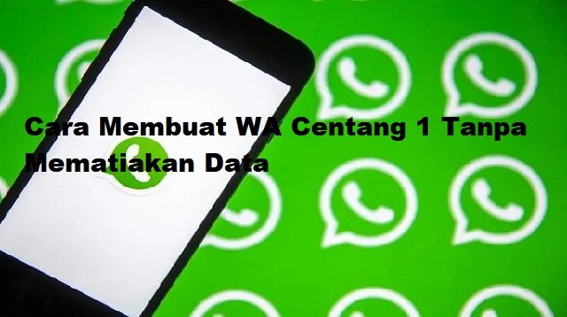 Cara Membuat WA Centang 1 Tanpa Mematikan Data