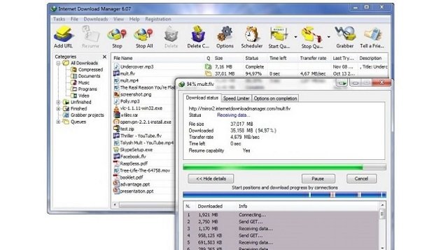 Serial Number IDM Permanen