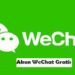 Cara Daftar Akun WeChat Gratis 7 Yagoal Login