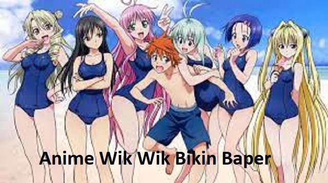 8 Anime Wik Wik Bikin Baper