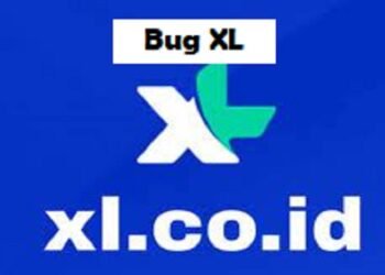 Script Spam SMS Termux Work