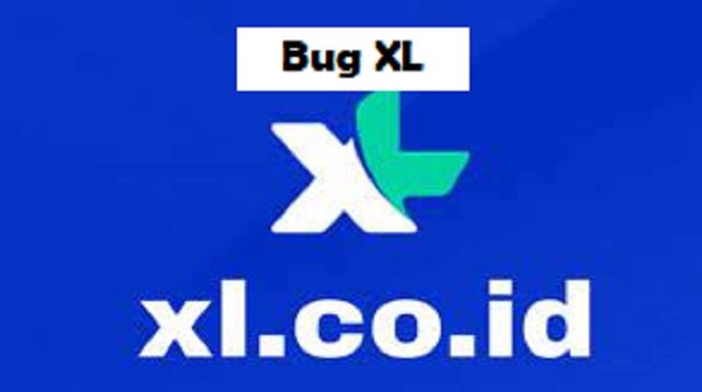 Bug XL 2026
