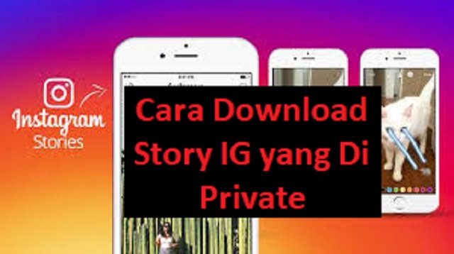 3 Cara Download Story IG yang Di Private Tanpa Aplikasi