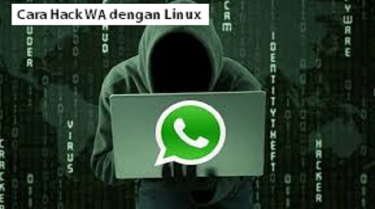 Cara Hack WA dengan Linux