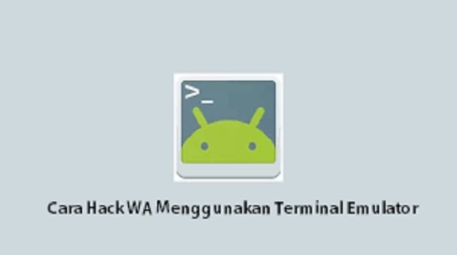 Cara Hack WA Menggunakan Terminal Emulator