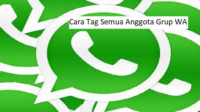 Cara Tag Semua Anggota Grup WA, Mudah dan Cepat