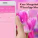Cara Mengubah Tema WhatsApp Menjadi Pink 7 Download Script FF Cheat VIP Free Fire (Update 2026)