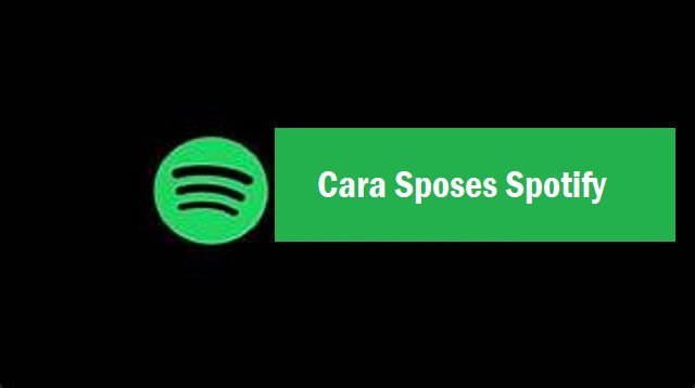 Cara Sposes Spotify