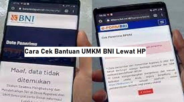 Cara Cek Bantuan UMKM BNI Lewat HP (Metode Resmi)