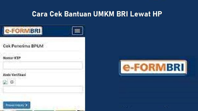 Cara Cek Bantuan UMKM BRI Lewat HP