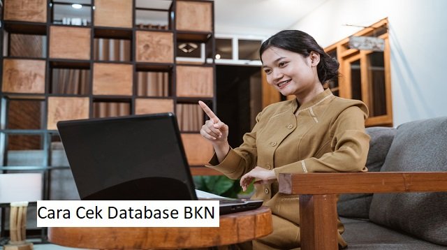 Cara Cek Database BKN (Full Guide)