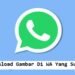5 Cara Download Gambar di WA Yang Sudah Lama 7 APN Telkomsel GPRS Web 2026