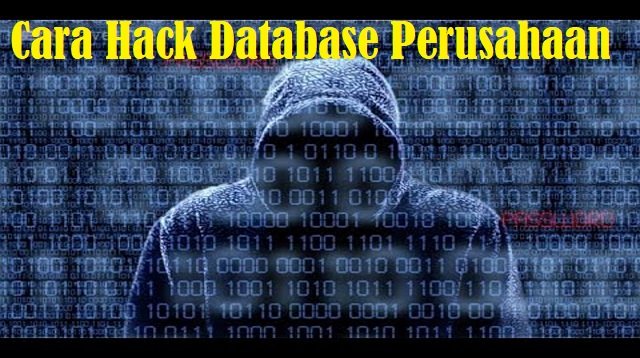 Cara Hack Database Perusahaan (Tanpa Ribet)