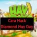 2 Cara Hack Diamond Hay Day (Aman & Cepat) 7 Cara Hack Gates of Olympus (Masih Work!)