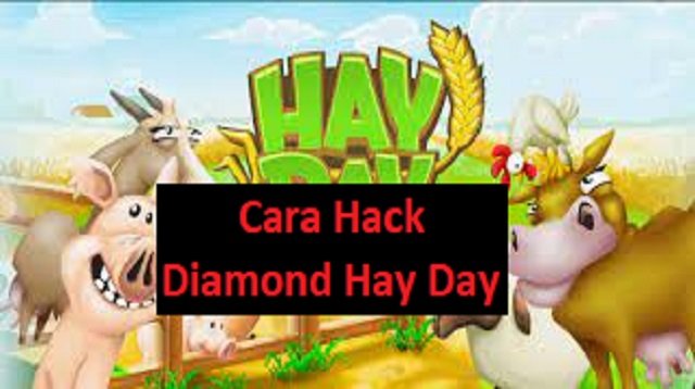2 Cara Hack Diamond Hay Day (Aman & Cepat)
