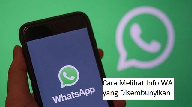 Cara Melihat Info WA yang Disembunyikan