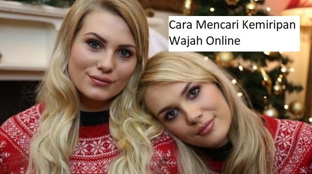3 Cara Mencari Kemiripan Wajah Online Tanpa Aplikasi
