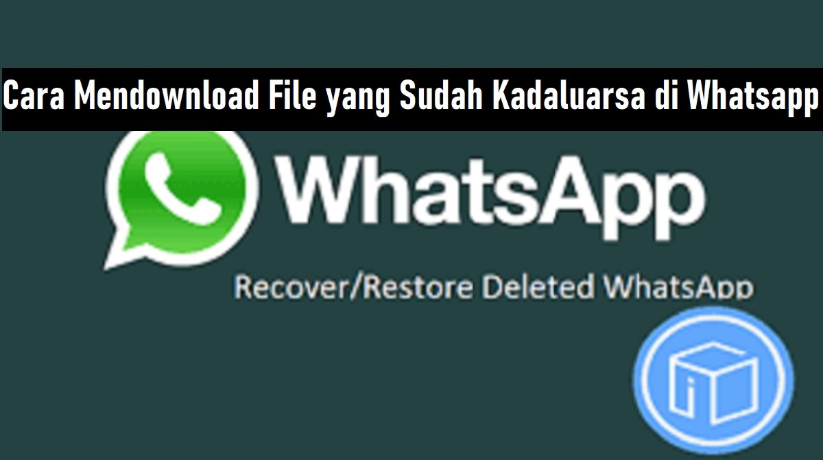 Cara Mendownload File yang Sudah Kadaluarsa di WhatsApp (Wajib Dicoba)