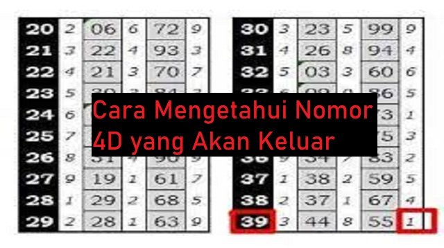 Cara Mengetahui Nomor 4D yang Akan Keluar (Anti Gagal)