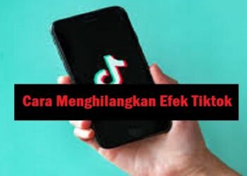 Link Config FF Auto Headshot, Diamond & Bundle Gratis