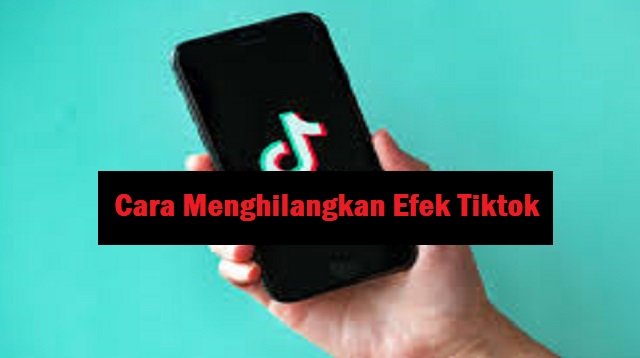 Cara Menghilangkan Efek Tiktok Tanpa Aplikasi & Dengan Aplikasi