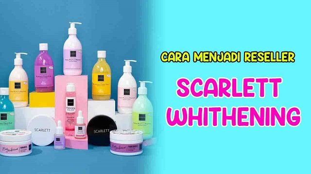 Cara Menjadi Reseller Scarlett