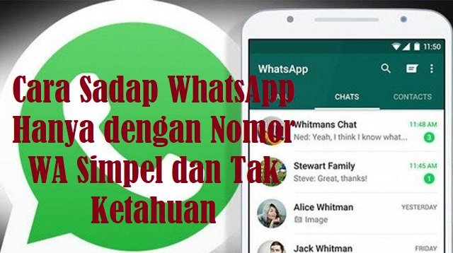 3 Cara Sadap WhatsApp Hanya dengan Nomor WA Simpel dan Tak Ketahuan Lihat Detail Chat Pasangan (Masih Work!)