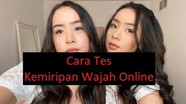 4 Cara Tes Kemiripan Wajah Online Gratis (Tanpa Biaya)