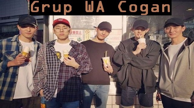 60 Link Grup WA Cogan Terbaru dan Lengkap (Update 2026)