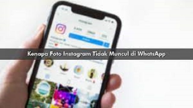 Kenapa Foto Instagram Tidak Muncul di Whatsapp?