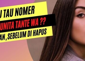 Cara Video Call Sambil Mengetik di WhatsApp