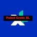 Cara Mendapatkan Paket Gratis XL 7 Cara Pinjam Saldo DANA Tanpa KTP