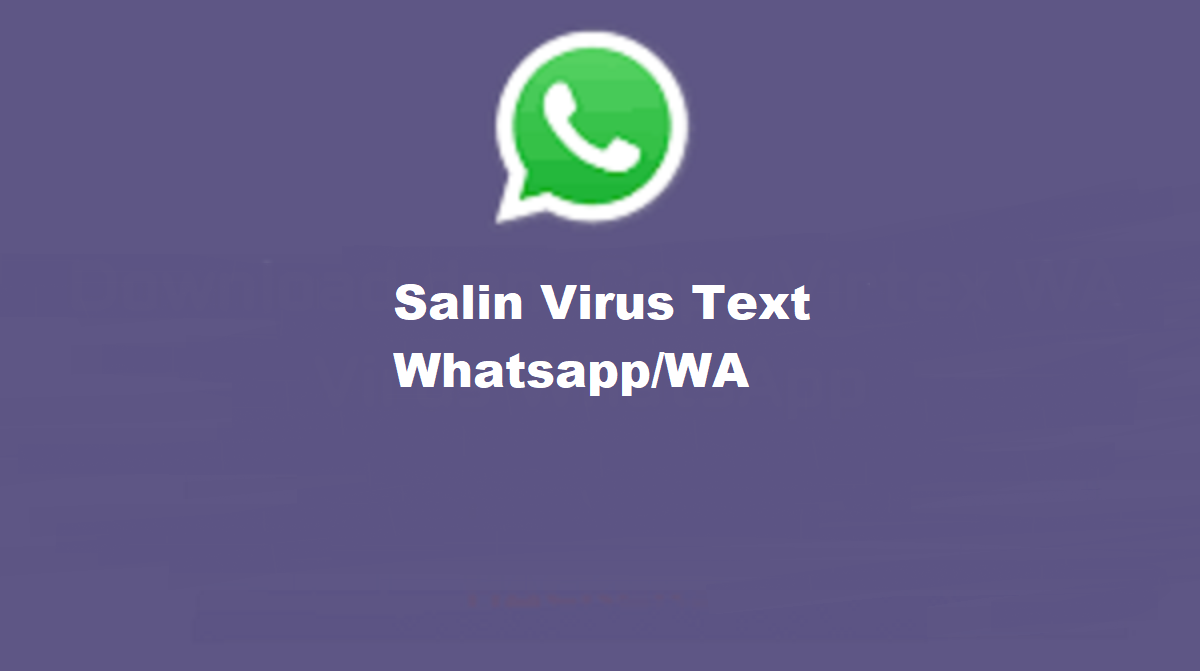 Salin Virtex WA