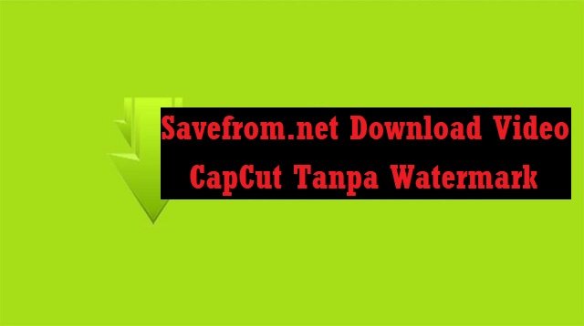 Cara Download Video CapCut Tanpa Watermark Melalui Aplikasi Savefrom net (Update 2026)