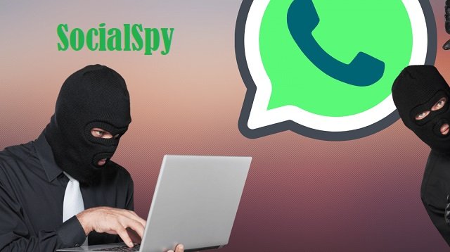Cara Menggunakan SocialSpy